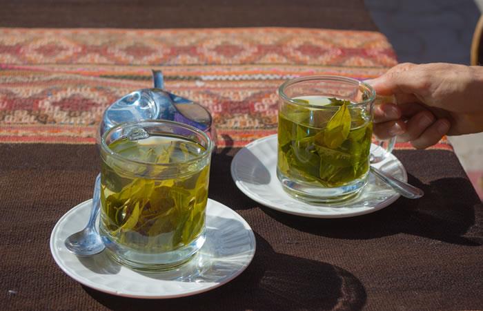 Las mejores bebidas bolivianas. Foto: Shutterstock