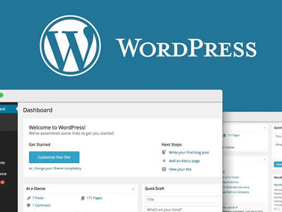 Administrar contenido en Sitio Web con WordPress