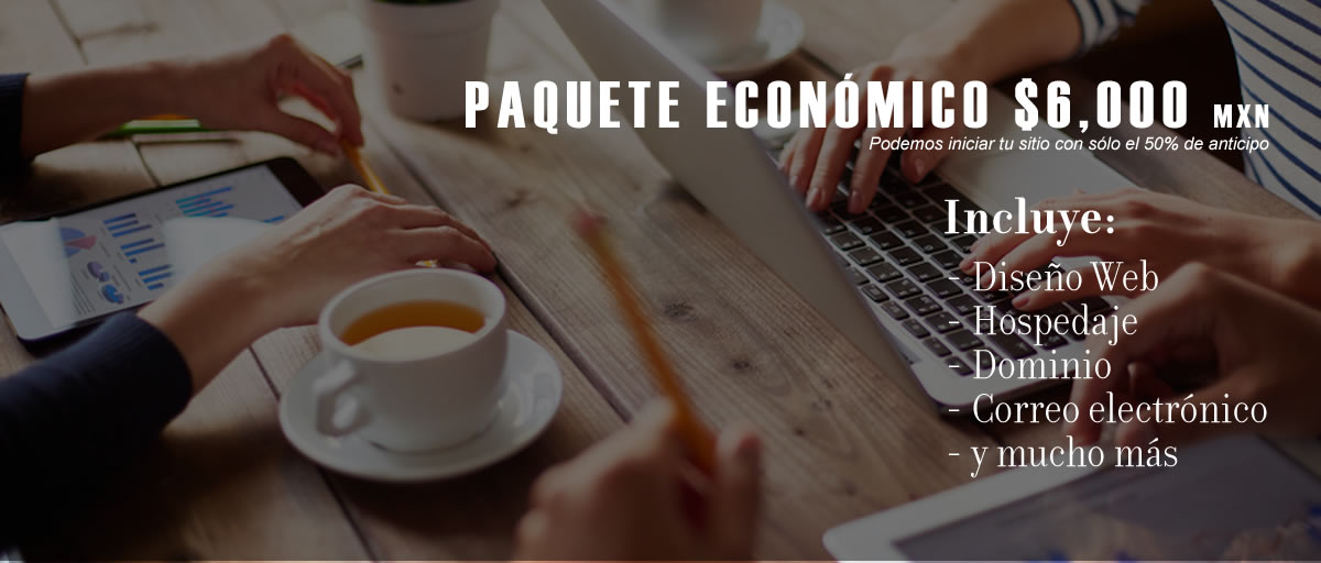 Diseño de página Web Económica