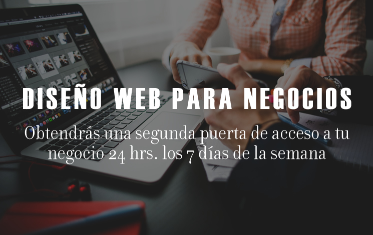 Diseño de páginas Web para Negocios y Empresas México