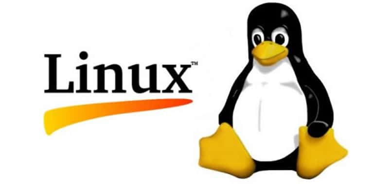 Linux | Administrar un Sitio Web | A principios de los años noventa Linus Torvalds desarrolló un  pequeño núcleo de un sistema clónico de UNIX como parte de uno de sus proyectos  de investigación.