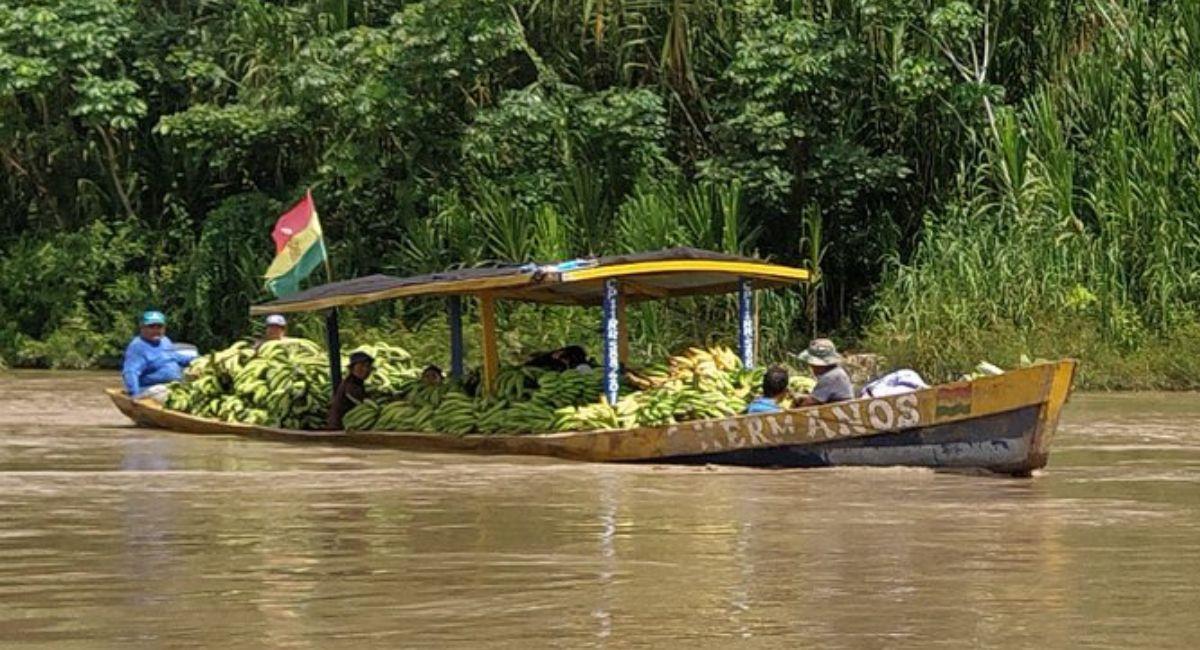 La plataforma boliviana integrada por ambientalistas piden "medidas urgentes" ante esta situación en Bolivia. Foto: Twitter vía @CambioClimaBo ·