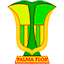 Atlético Palmaflor